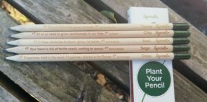 recyclable pencils with seeds in end to sow once pencil used up